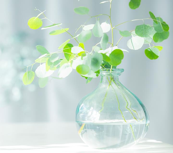 友達のおうちに遊びに来るようなアットホームなおうちサロン